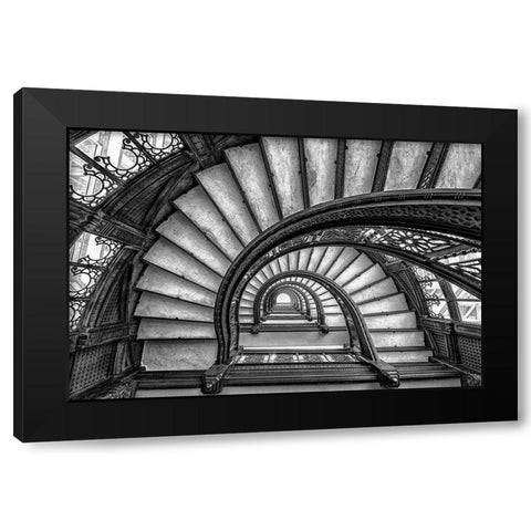 The Rookery Black Modern Wood Framed Art Print by Sun, Yimei