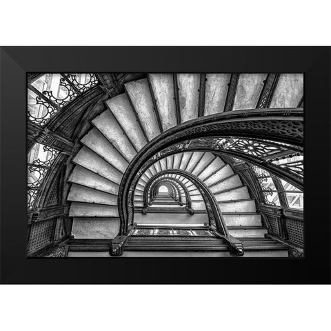 The Rookery Black Modern Wood Framed Art Print by Sun, Yimei