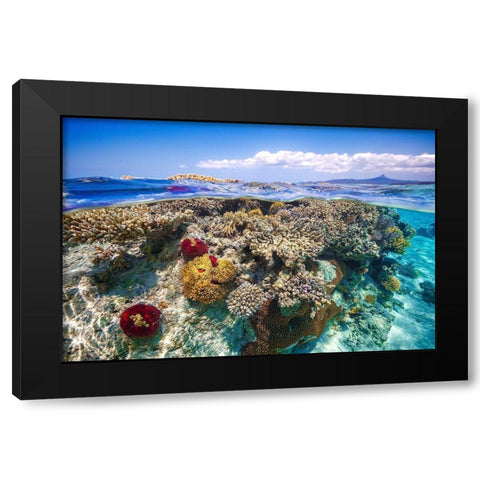 Mayotte : The Reef Black Modern Wood Framed Art Print by Gabriel, Barathieu