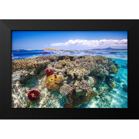 Mayotte : The Reef Black Modern Wood Framed Art Print by Gabriel, Barathieu