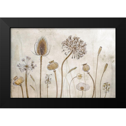 Growing old Black Modern Wood Framed Art Print by Disher, Mandy