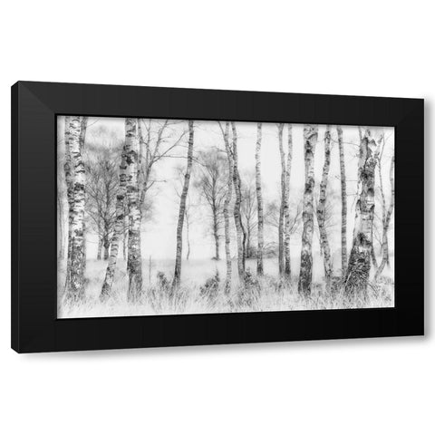 Black and white Black Modern Wood Framed Art Print by Talen, Nel