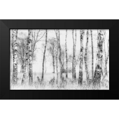 Black and white Black Modern Wood Framed Art Print by Talen, Nel