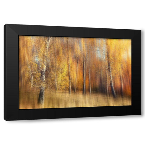Autumn Birches Black Modern Wood Framed Art Print by Davidsson, Gustav