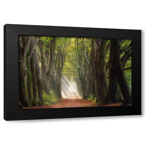 A Glorious Day Black Modern Wood Framed Art Print with Double Matting by Borggreve, Ellen