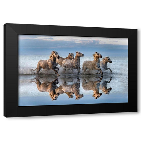 Horses and reflection Black Modern Wood Framed Art Print with Double Matting by Ortega, Xavier
