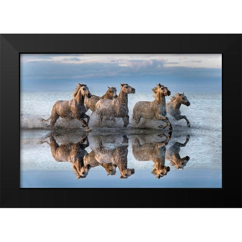 Horses and reflection Black Modern Wood Framed Art Print by Ortega, Xavier
