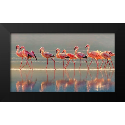 Flamingo Black Modern Wood Framed Art Print by Chang, Phillip