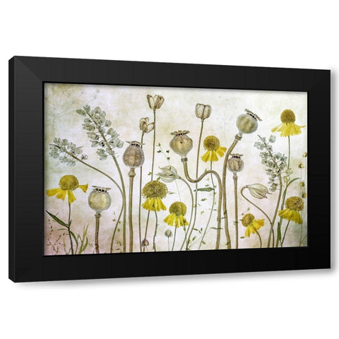 Poppies and Helenium Black Modern Wood Framed Art Print by Disher, Mandy