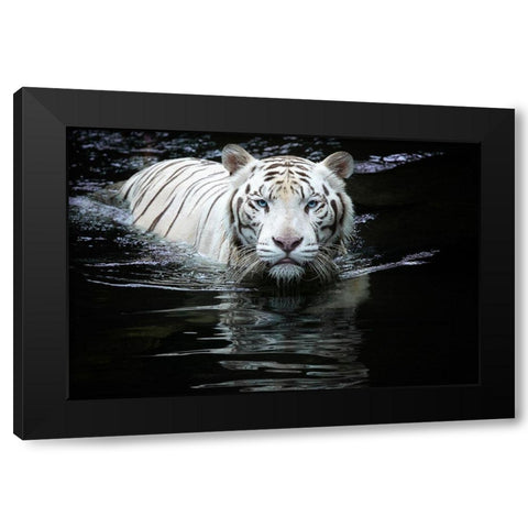 Looking at Me Looking at You Black Modern Wood Framed Art Print by Doyle, Renee