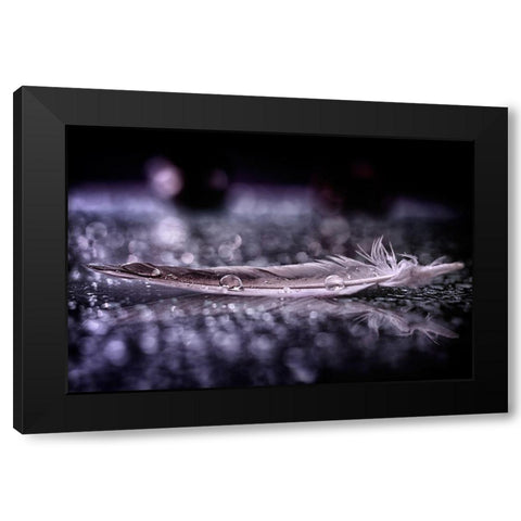 Feather and Drop II Black Modern Wood Framed Art Print with Double Matting by Fabiano, Alessandro
