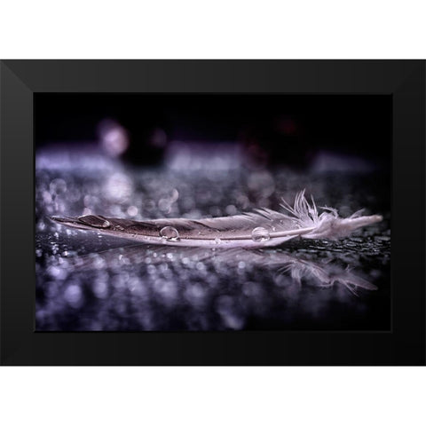 Feather and Drop II Black Modern Wood Framed Art Print by Fabiano, Alessandro