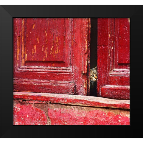 Behind the scene Black Modern Wood Framed Art Print by Elena, Raceala