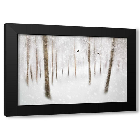 Winter Birches Black Modern Wood Framed Art Print with Double Matting by Davidsson, Gustav