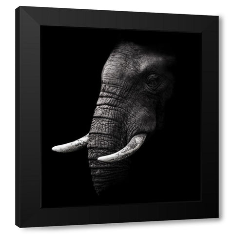 Portrait Black Modern Wood Framed Art Print with Double Matting by Wildphotoart