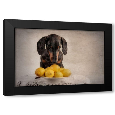 When Life Gives You Lemons... Black Modern Wood Framed Art Print with Double Matting by Willers, Heike