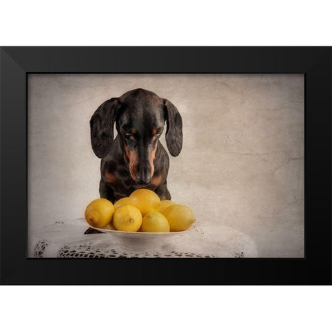 When Life Gives You Lemons... Black Modern Wood Framed Art Print by Willers, Heike
