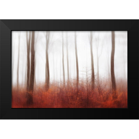 Endless Woods Black Modern Wood Framed Art Print by Davidsson, Gustav