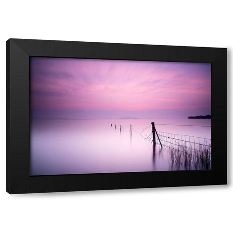 Milky pink Black Modern Wood Framed Art Print with Double Matting by O Mahony, Kieran