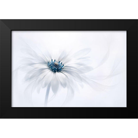 Serenity Black Modern Wood Framed Art Print by Parker, Jacky