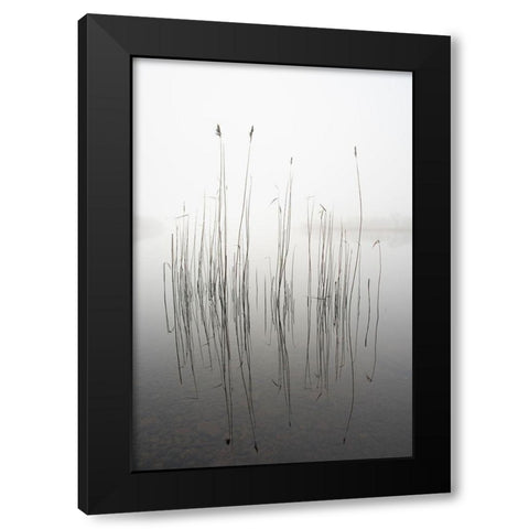 silence Black Modern Wood Framed Art Print with Double Matting by Ahern, David
