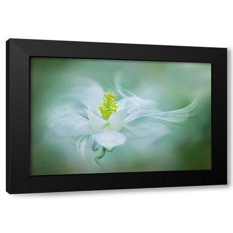 Mystical Black Modern Wood Framed Art Print by Parker, Jacky