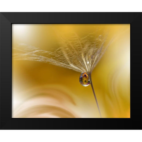 SunBeam Black Modern Wood Framed Art Print by Nan, Juliana