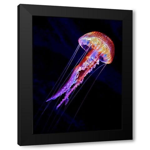 Jellyen Black Modern Wood Framed Art Print with Double Matting by Jager, Henry