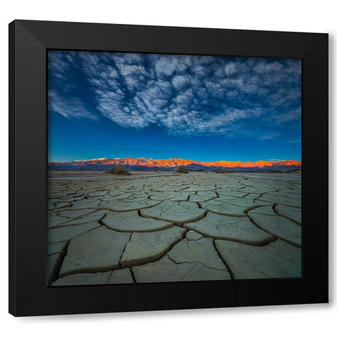 Dry Season Black Modern Wood Framed Art Print by Fan, John