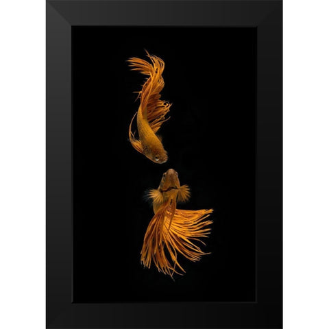Love Story of the Golden Fish Black Modern Wood Framed Art Print by Rahayu, Ganjar