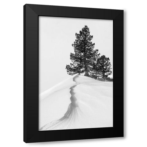About the snow and forms Black Modern Wood Framed Art Print by Nunez Buj, Rodrigo