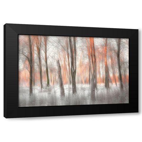 Evening Light Black Modern Wood Framed Art Print by Davidsson, Gustav