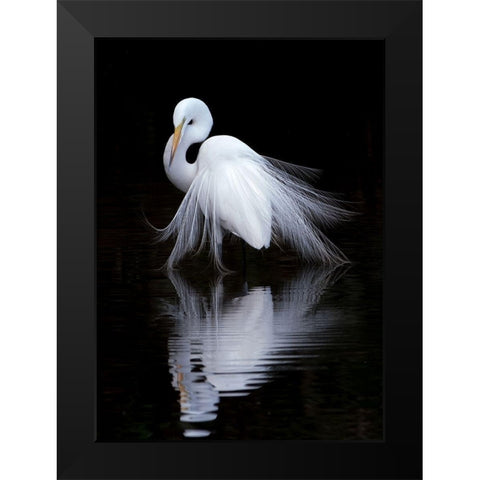 watching Black Modern Wood Framed Art Print by Li, Ben