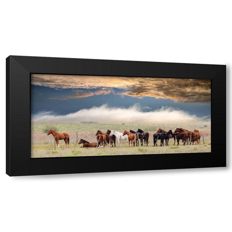 Horses Black Modern Wood Framed Art Print with Double Matting by Peinado, Chechi