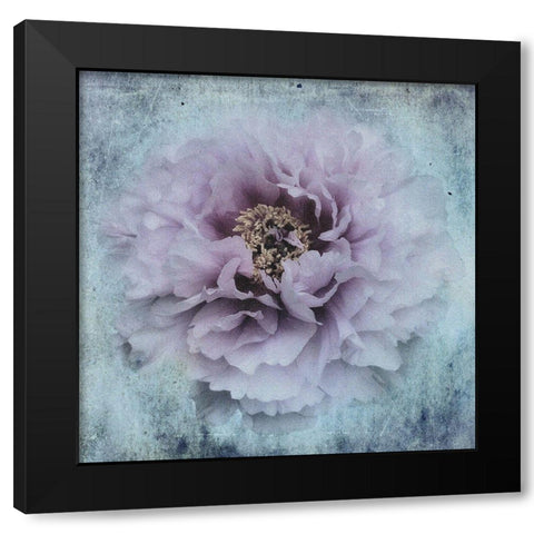 The season I love Black Modern Wood Framed Art Print by Eisele, Stefan