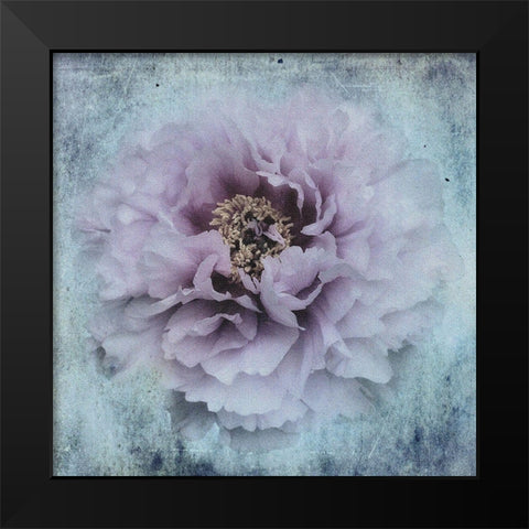 The season I love Black Modern Wood Framed Art Print by Eisele, Stefan