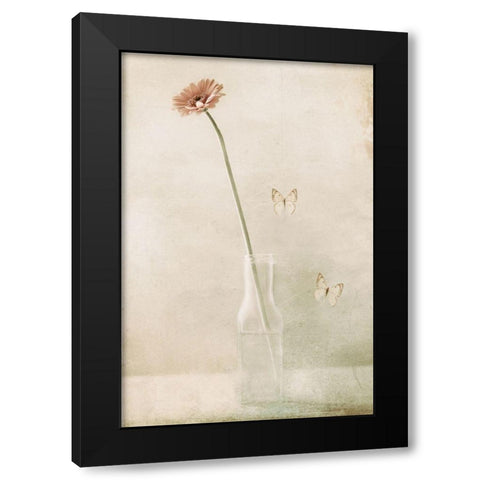 Miss Daisy Black Modern Wood Framed Art Print by Devos, Delphine