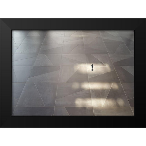 Freedom Black Modern Wood Framed Art Print by Limberg, Huib