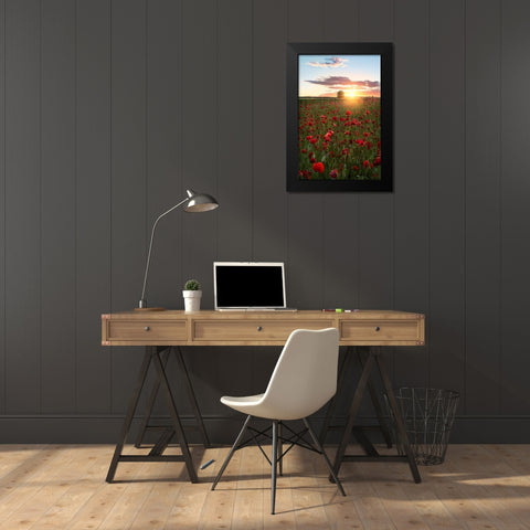 Poppy fields of Sweden Black Modern Wood Framed Art Print by Lindsten, Christian