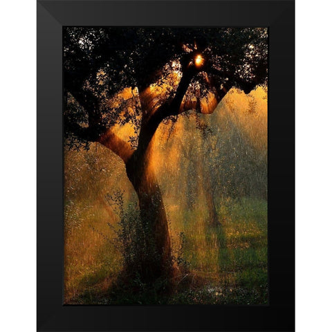light shower Black Modern Wood Framed Art Print by Castoldi, Stefano