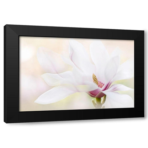 Purity Black Modern Wood Framed Art Print by Parker, Jacky