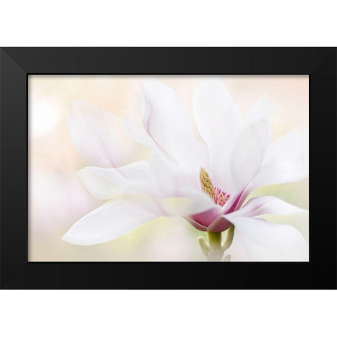 Purity Black Modern Wood Framed Art Print by Parker, Jacky