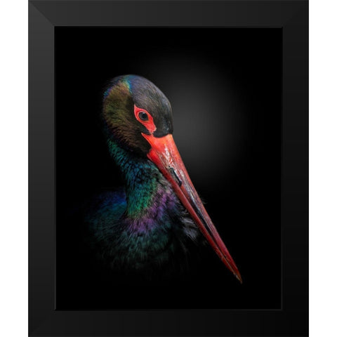 The Black Stork Black Modern Wood Framed Art Print by Fegari