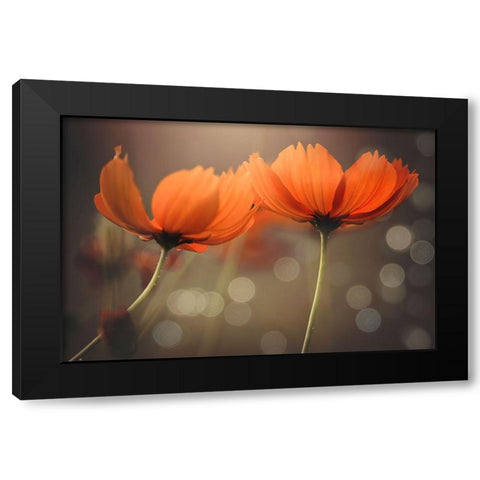 Friends Black Modern Wood Framed Art Print with Double Matting by Thien Vu, Vu