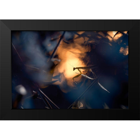 Wormhole Distorsion Black Modern Wood Framed Art Print by Bravin, Fabien