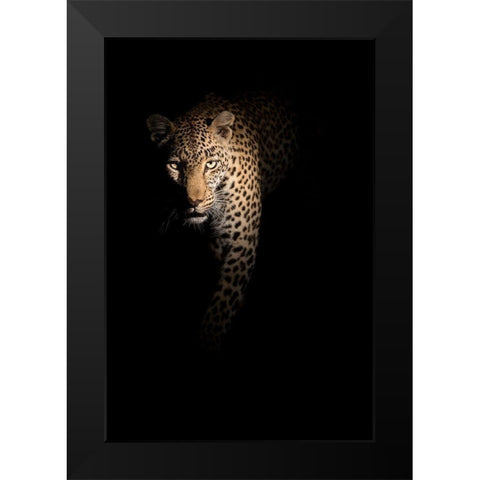 Out of the darkness Black Modern Wood Framed Art Print by Guijt, Richard