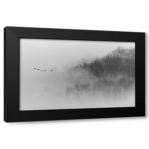 Above Mist Black Modern Wood Framed Art Print by Austin