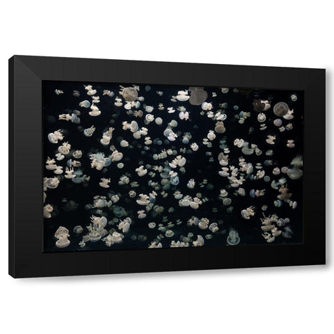 Just some Jellies Black Modern Wood Framed Art Print by Graf, Sebastian