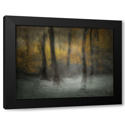 Dancing Trees Black Modern Wood Framed Art Print with Double Matting by Talen, Nel