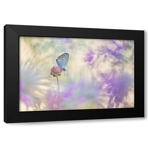 Pulsatilla Meadow Black Modern Wood Framed Art Print by Spranz, Henrik